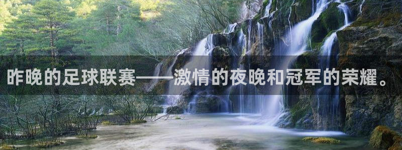  昨晚的足球联赛——激情的夜晚和冠军的荣耀。