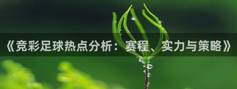  《竞彩足球热点分析：赛程、实力与策略》