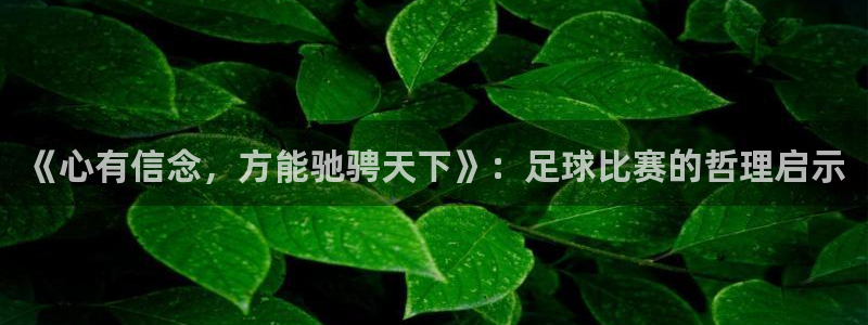  《心有信念，方能驰骋天下》：足球比赛的哲理启示