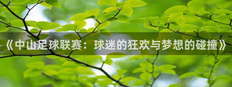 《中山足球联赛：球迷的狂欢与梦想的碰撞》