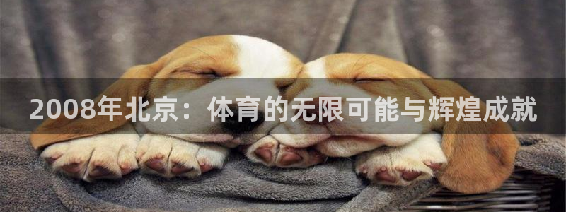 2008年北京：体育的无限可能与辉煌成就