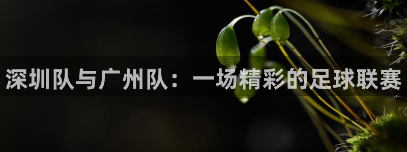 深圳队与广州队：一场精彩的足球联赛