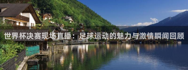  世界杯决赛现场直播：足球运动的魅力与激情瞬间回顾
