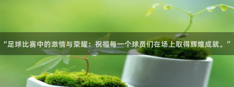 “足球比赛中的激情与荣耀：祝福每一个球员们在场上取得辉煌成就