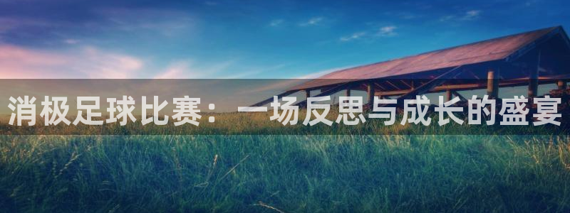 消极足球比赛：一场反思与成长的盛宴