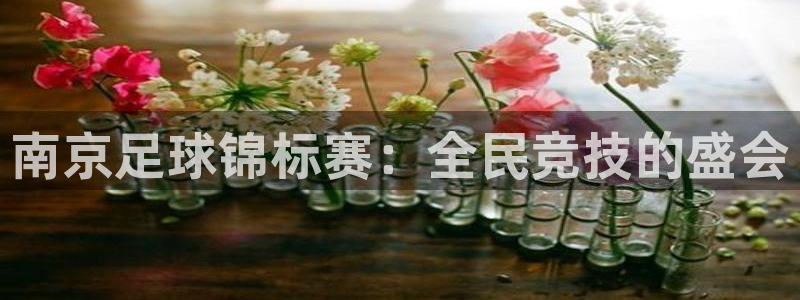 南京足球锦标赛：全民竞技的盛会