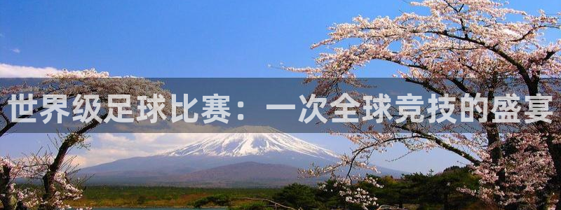 世界级足球比赛：一次全球竞技的盛宴