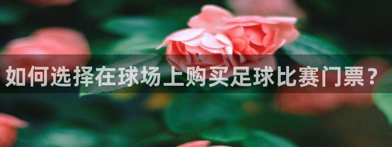  如何选择在球场上购买足球比赛门票？