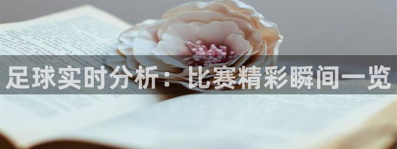  足球实时分析：比赛精彩瞬间一览