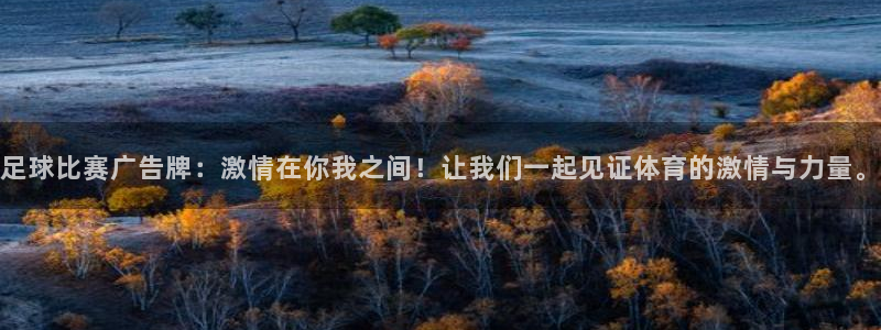 足球比赛广告牌：激情在你我之间！让我们一起见证体育的激情与力