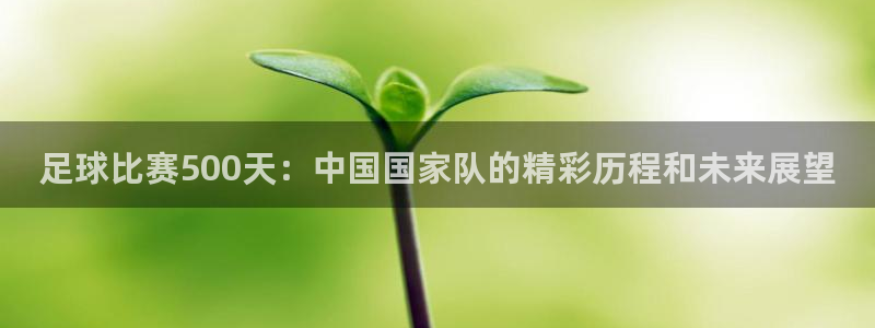  足球比赛500天：中国国家队的精彩历程和未来展望