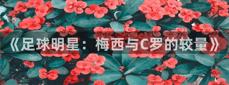 《足球明星：梅西与C罗的较量》