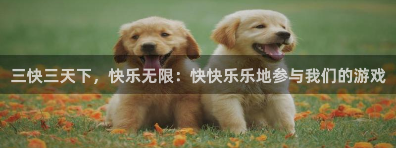nba833直播免费观看直播在线：三快三天下，快乐无限：快快乐乐地参与我们的游戏