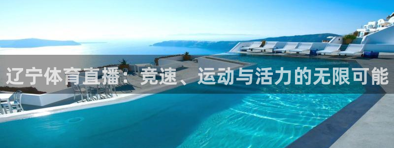 833直播体育免费观看入口：辽宁体育直播：竞速、运动与活力的无限可能