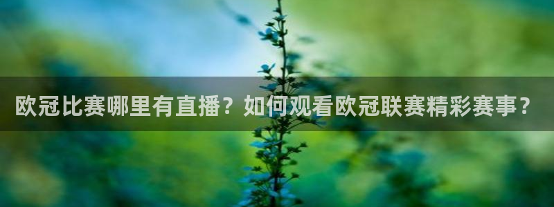 833直播比赛免费观看：欧冠比赛哪里有直播？如何观看欧冠联赛精彩赛事？