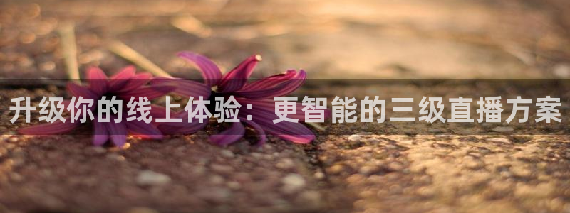 833足球比赛免费直播：升级你的线上体验：更智能的三级直播方案