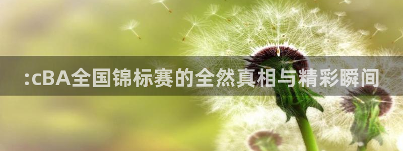 833直播比赛在线观看：:cBA全国锦标赛的全然真相与精彩瞬间