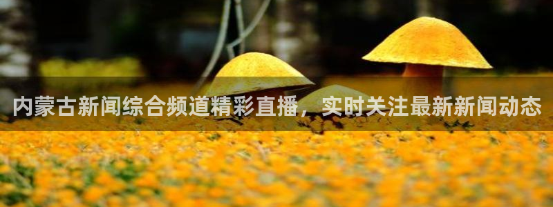 833直播足球：内蒙古新闻综合频道精彩直播，实时关注最新新闻动态