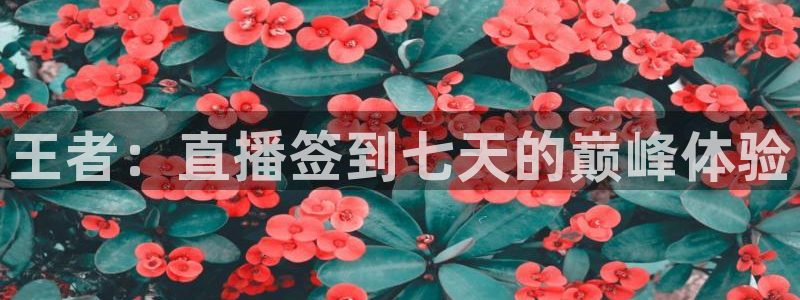 833直播比赛免费观看入口：王者：直播签到七天的巅峰体验