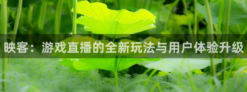 833直播nba免费观看高清直播：映客：游戏直播的全新玩法与用户体验升级