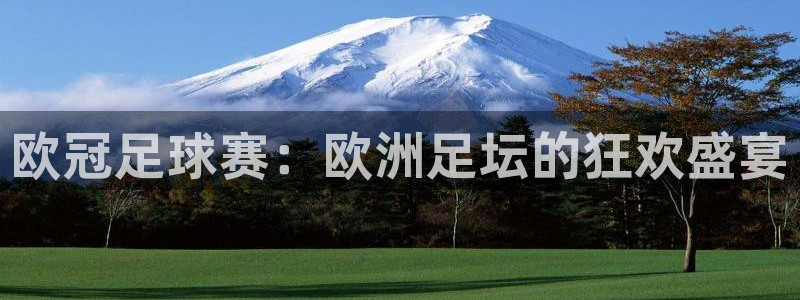 欧冠足球赛：欧洲足坛的狂欢盛宴