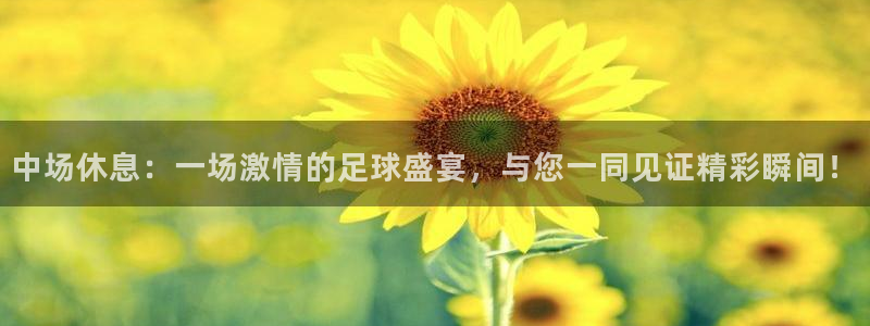 中场休息：一场激情的足球盛宴，与您一