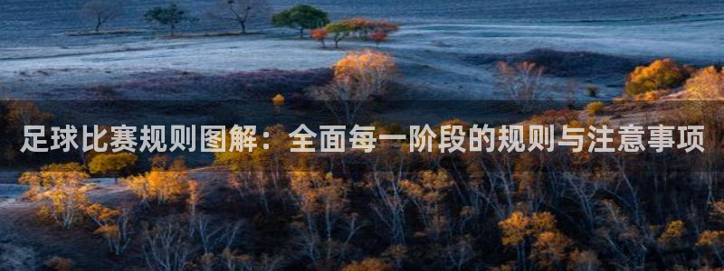  足球比赛规则图解：全面每一阶段的规则与注意事项
