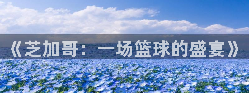 《芝加哥：一场篮球的盛宴》