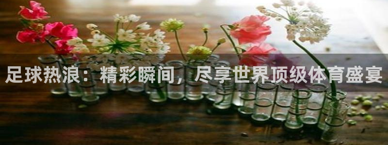 足球热浪：精彩瞬间，尽享世界顶级体育盛宴