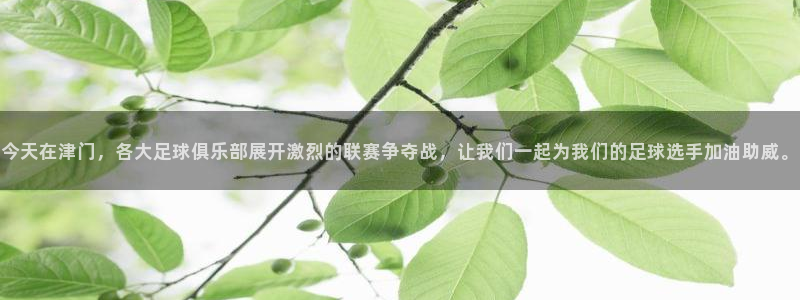  今天在津门，各大足球俱乐部展开激烈的联赛争夺战，让我们一起为