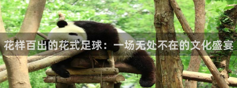 花样百出的花式足球：一场无处不在的文