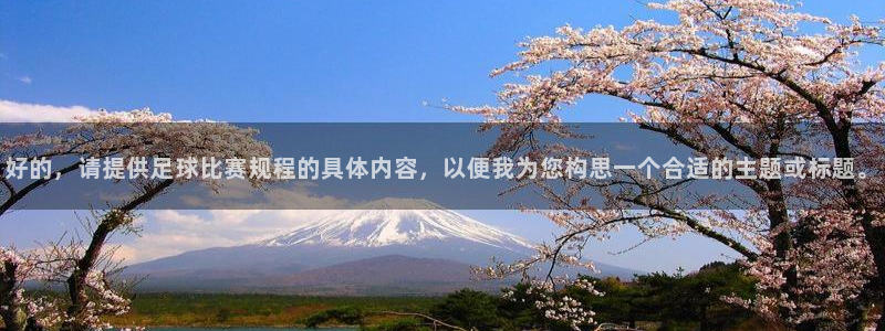 好的，请提供足球比赛规程的具体内容，