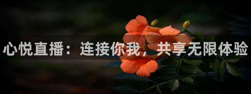 833足球免费直播：心悦直播：连接你我，共享无限体验