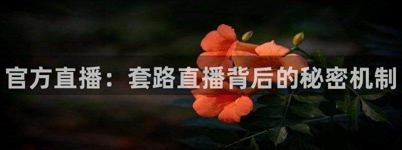 833直播足球比赛在线观看：官方直播：套路直播背后的秘密机制